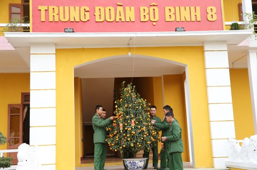 Bo doi Viet Nam choi gi ngay Tet?-Hinh-13